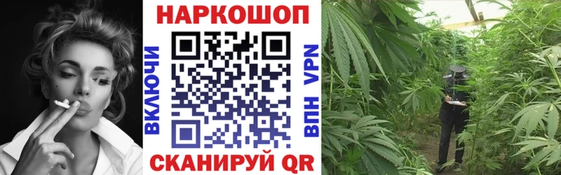 Купить закладку Гашиш  АМФ  Alpha-PVP  Марихуана  Меф  Кокаин  Дрезна
