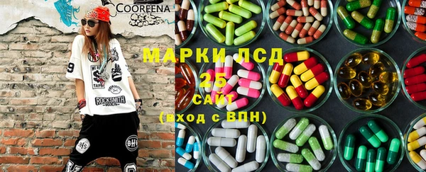 spice Инта
