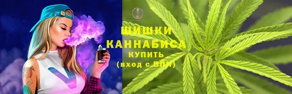 спиды Инсар