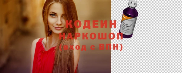 спиды Инсар