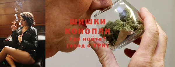 spice Инта
