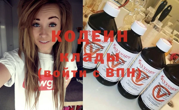 spice Инта