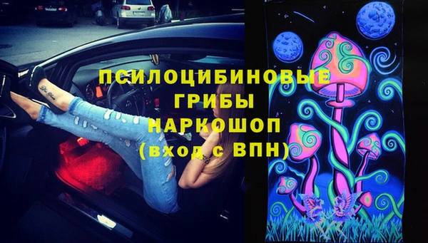 spice Инта