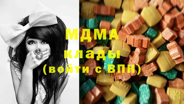 spice Инта