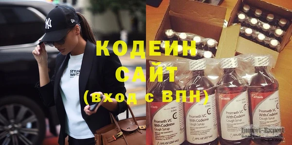 spice Инта