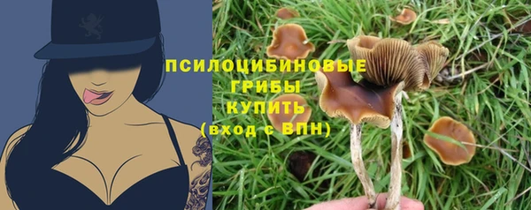 spice Инта