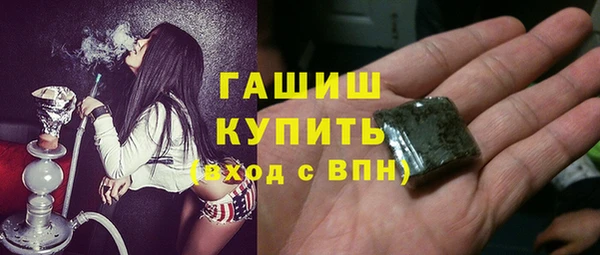 spice Инта