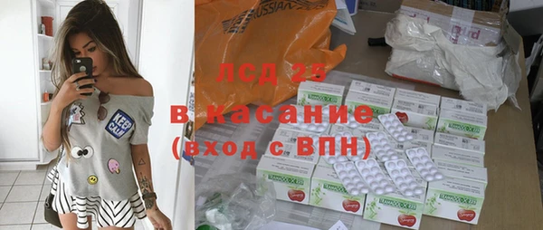 spice Инта