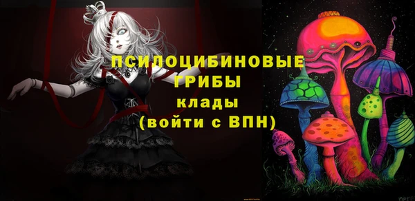 spice Инта
